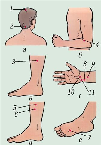 Биологически активные точки для точечного массажа при гипертонической болезни